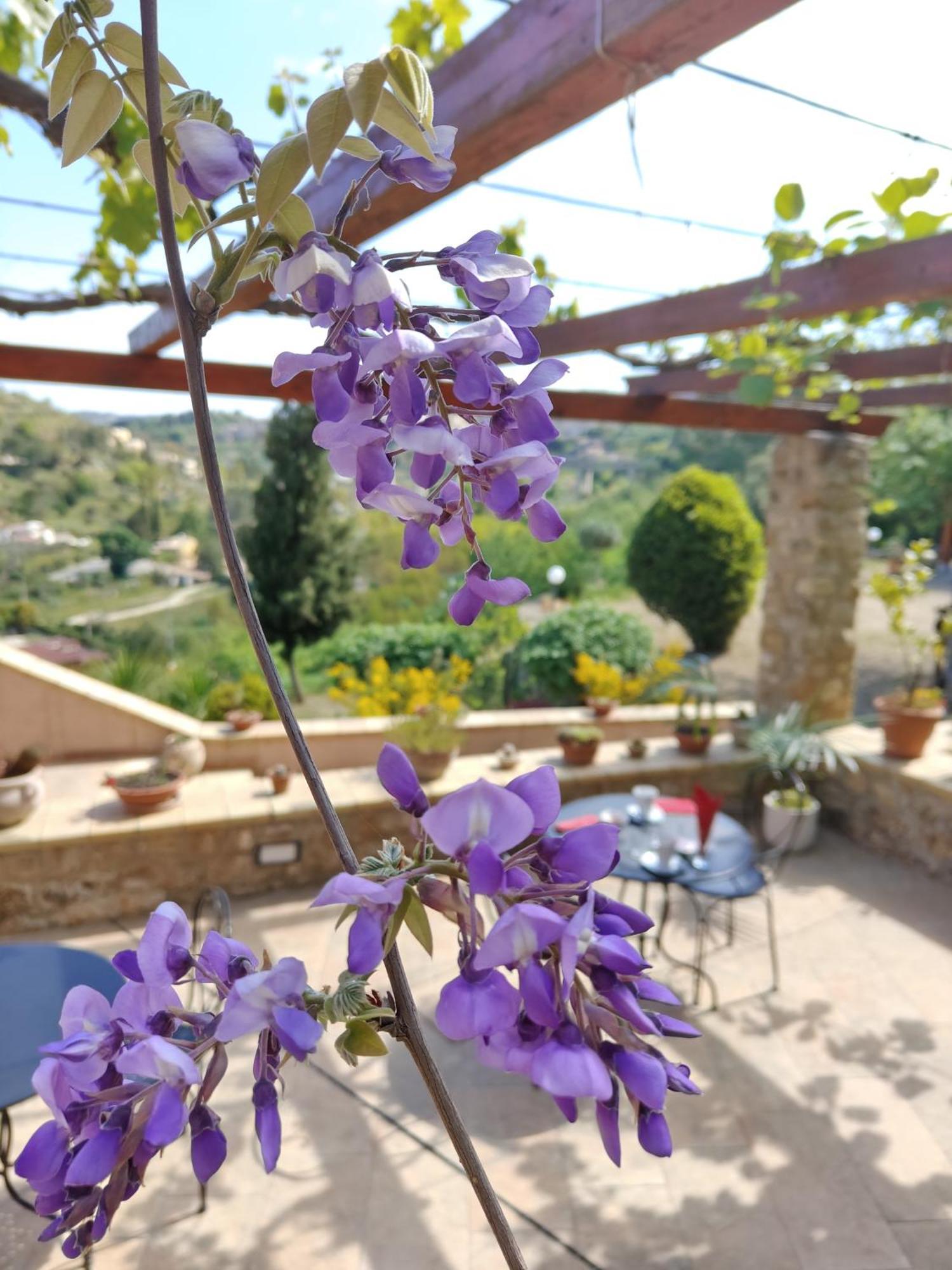 Panorama Suite Piazza Armerina Buitenkant foto